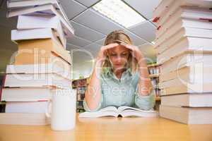 Pretty student studying in the library