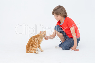 Cute boy touching cat on white background