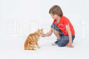 Cute boy touching cat on white background