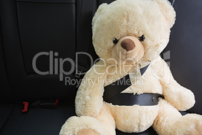 Teddy bear strapped in with seat belt