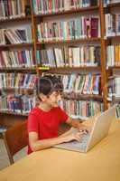 Boy using laptop in the library