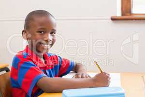 Cute pupil smiling at camera in classroom