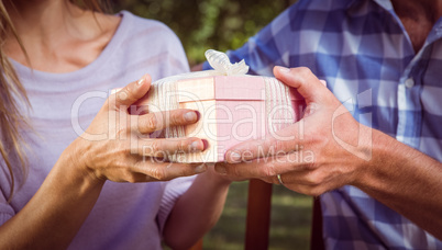 Couple exchanging a gift in park