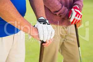 Golfing friends standing and holding clubs