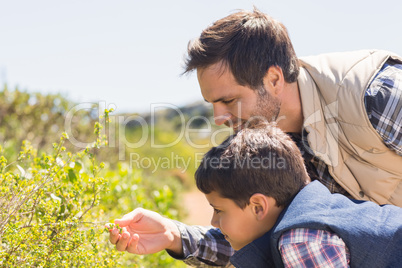 Father and son hiking in the mountains