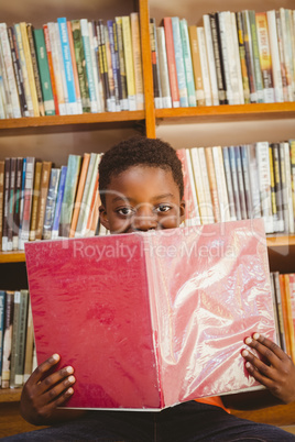 Cute boy reading book in library