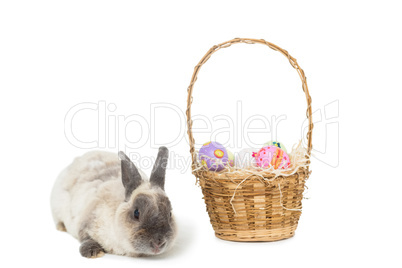 Easter bunny with basket of eggs