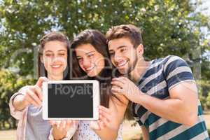 Happy friends in the park taking selfie