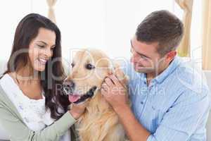 Couple stroking dog at home