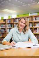 Pretty student studying in the library