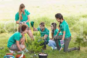 Happy friends gardening for the community