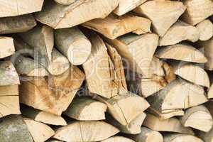 Firewood stacked for winter