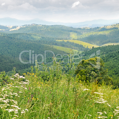 scenic mountains  against the blue sky