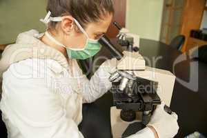 Research with microscope