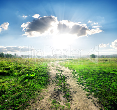 Country road in wild nature