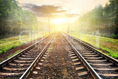 Fog over railroad