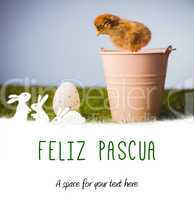 Composite image of feliz pasqua