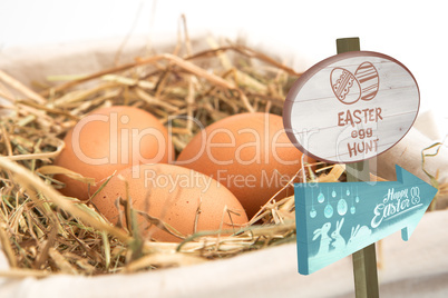 Composite image of easter egg hunt sign