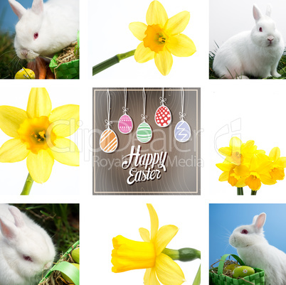 Composite image of white rabbit sitting beside easter eggs in gr