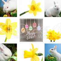 Composite image of white rabbit sitting beside easter eggs in gr