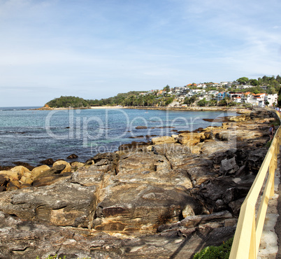 Cabbage Tree Bay