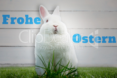 Composite image of easter bunny