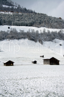 Pinzgau, Österreich