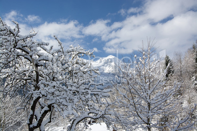 Pinzgau, Österreich