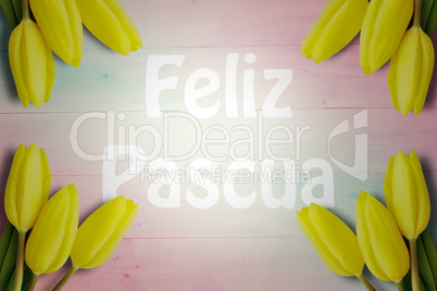 Composite image of feliz pasqua