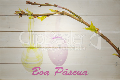 Composite image of boa pascua