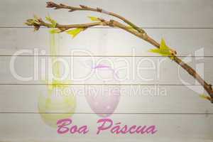 Composite image of boa pascua