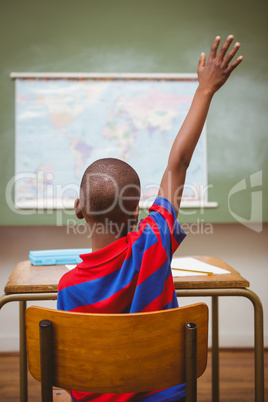 Rear view of boy raising hand in classroom
