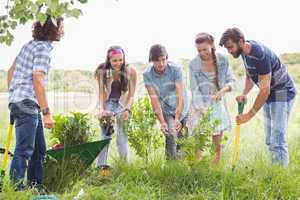 Happy friends gardening for the community