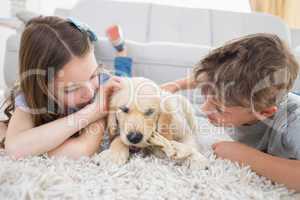 Siblings playing with dog on rug