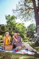Couple having picnic in the park