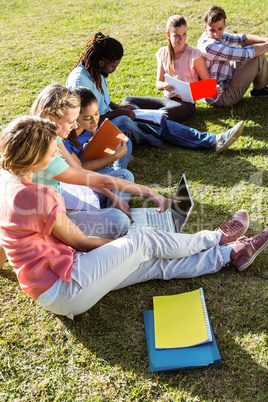 Students studying outside on campus