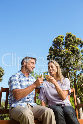 Couple relaxing in the park with wine