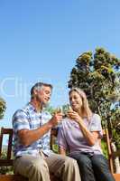 Couple relaxing in the park with wine