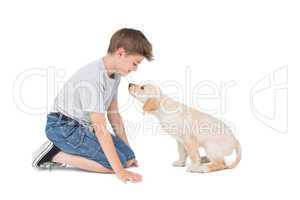 Boy with dog over white background