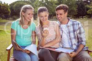 Students studying outside on campus