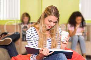 Casual young woman reading book in office