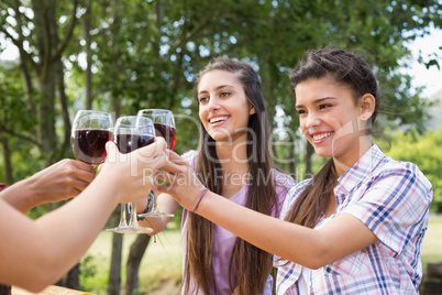 Happy friends in the park having wine Happy friends in the park having wine