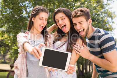 Happy friends in the park taking selfie