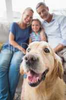 Golden Retriever with happy family at home