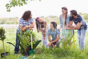 Happy friends gardening for the community