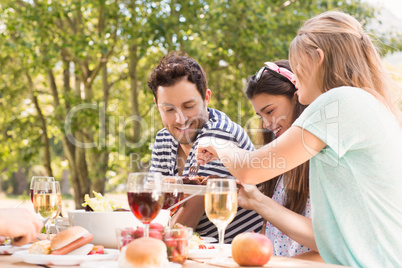 Happy friends in the park having lunch