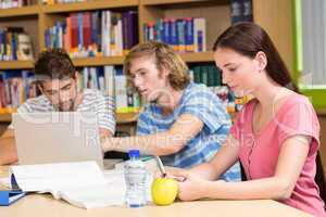 College students using laptop in library