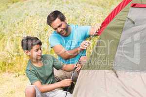 Father and son pitching their tent