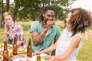 Happy friends in the park having lunch