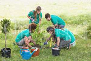 Happy friends gardening for the community